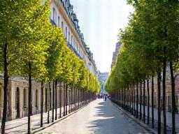 Voirie espace public Paris